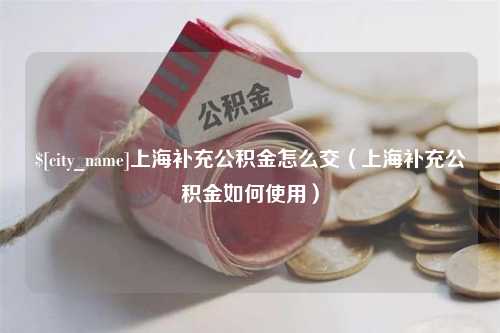 无棣上海补充公积金怎么交（上海补充公积金如何使用）